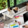 rede pendurada para gatos