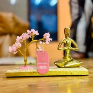 jardim-de-yoga-com-pedras-preciosas