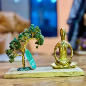jardim-de-yoga-gemstone-pose-padmasana